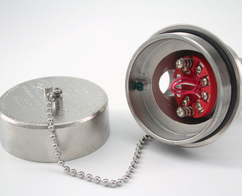 SST RTD Assembly with Transmitter